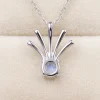 Hidden Moon Shell · Natural Moonstone Necklace | Ocean Series
